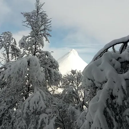 Nid Cozy Au Lioran *