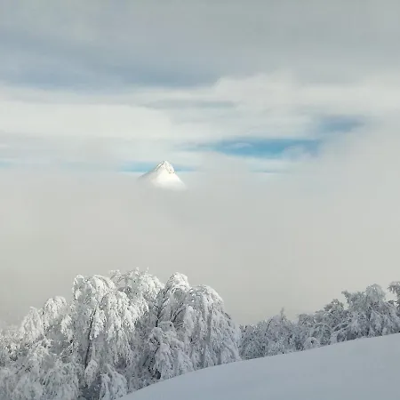 Nid Cozy Au Lioran *