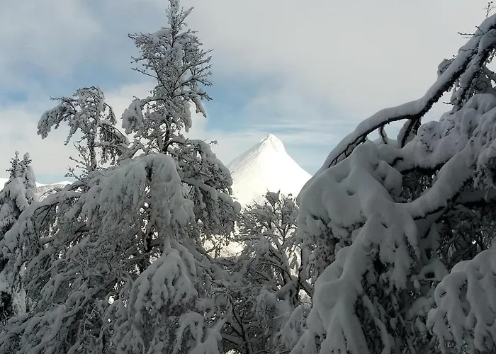 Nid Cozy Au Lioran *