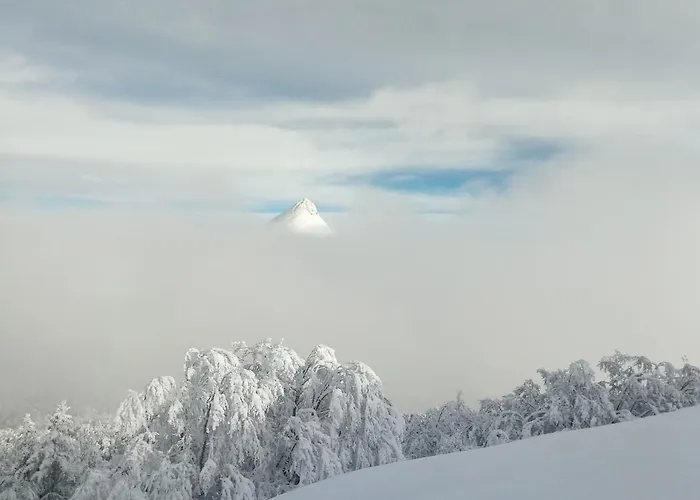 Nid Cozy Au Lioran *