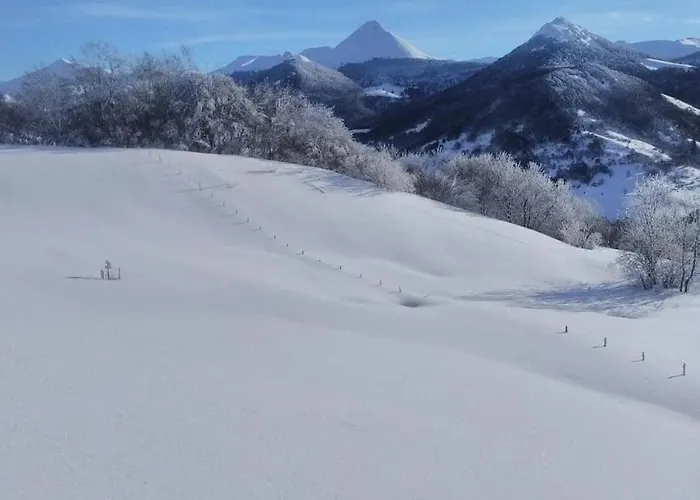 Nid Cozy Au Lioran Apartment *