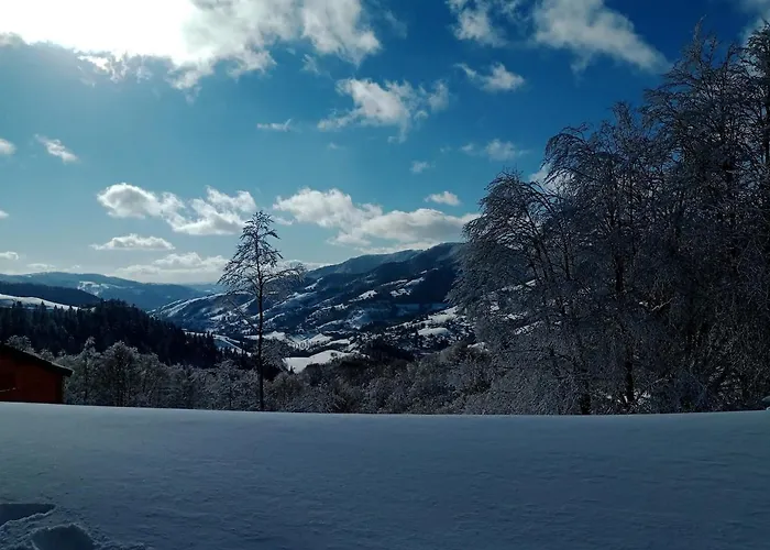 Apartment Nid Cozy Au Lioran